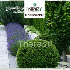  5 تصميم و تنسيق و صيانة الحدائق و شبكات الري