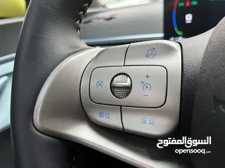  11 BYD SEAGULL 2023