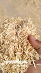  2 قش القمح للبيع بالجمله Wheat straw