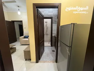  2 أجنحة فندقيه وشقة مفروشه