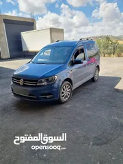  1 كادي 2017 بالرخصة