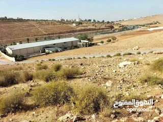  14 أرض للبيع على طريق إربد عمان منطقة بليله على شارع رئيسي