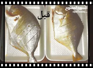  7 Fish zubaidi سمك ذبيدي ذهبي