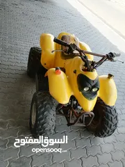  1 بقي العميري 100