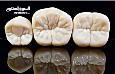  10 مختبرات لين للاسنان لصناعة كافة أنواع التركيبات الثابتة والمتحركة والتركيبات التقويمية وزراعة لاسنان