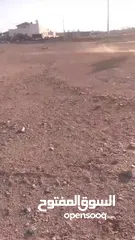  5 مهر عمره 18 شهر نشمي وعصبي ما شاء الله عليه فيه طاقة وحضور لونه مميز وبلفت النظر من أول نظرة