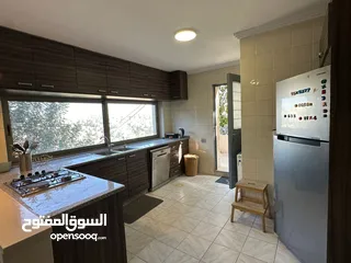  12 Furnished Apartment to Rent in  abdoun  ( Property 39400 )-174804842