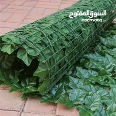 4 رول ورق شجر اخضر كثيف