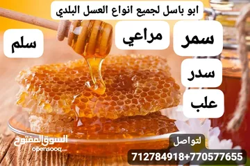  29 النحال أبوباسل لجميع أنواع العسل اليمني وبيع النحل