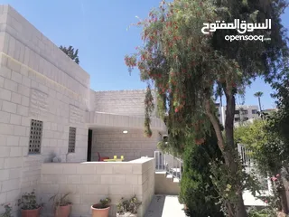 25 Villa for Sale in Shmesani ( Property 39162 )-174787537