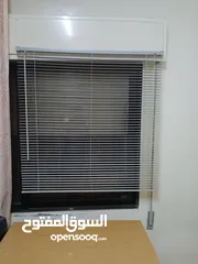  7 برادي زيبرا جديدة بالكرتون للبيع