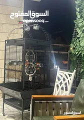  12 قفص ببغاء تفصيل اقفاص ببغاء كاسكو و مكاو جميع الأحجام حسب الطلب والمقاي
