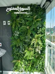  6 جمال الزرع المعلق الـ Green Wall  علي الحائط يستخدم في العديد من الامكان