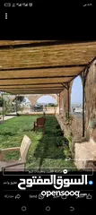  22 معرشات قصيب على جميع الاشكال الهندسيه