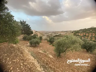  15 للبيع: أرض بإطلالة خلابة وموقع هادئ في دابوق من المالك مباشرة فيها منسوب