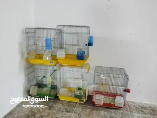  2 اقفاص واغراضهم