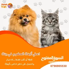  5 خدمات بيطرية متكاملة للحيوانات الاليفة