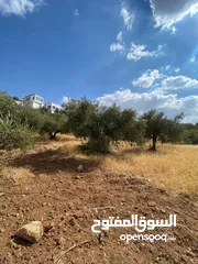  3 ارض للبيع الميدة ماحص / اطلالة على الغرب و جبال فلسطين و مطلة على جبال السلط تبعد عن دوار خلدا 10 د