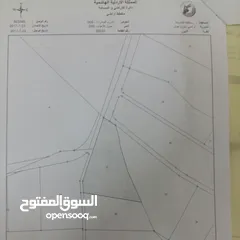  1 ارض مميزة في ام رصاص على شارعين شمالي وغربي قريبة من متحف اللهون   وقريبة من مطل الياهون ،بسعر مغري