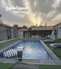  3 مزرعة لقطة بسعر مغري جدا للبيع