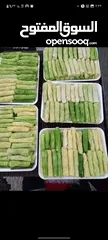  12 طبخات ومونت بيت جاهزة باي وكت. المأكولات الشهيه