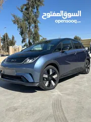  1 Byd bolphin knight