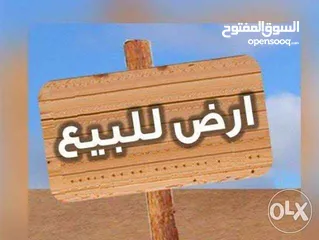  3 ارض للبيع على الشارع الرئيسي