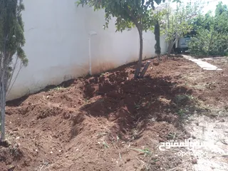  2 تنسيق الحدائق المنزليه وتشكيل أشجار الزينه وقص كافة الأشجار وتلقيمها