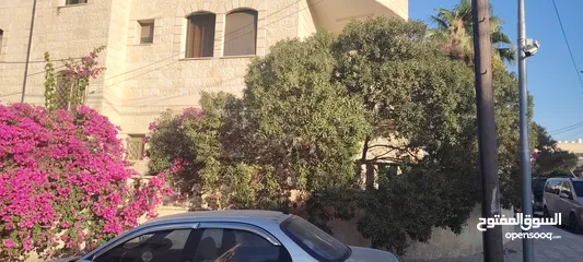  3 ؛شقه مستقله للاجار الزرقا الجديده شارع الفلاتر شارع البتراوي خلف مسجد عمر بن العاص