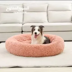  1 اغراض قط شبه جديده للبيع فرشة نوم وبيت نوم ومقص ولتر بوكس بحاله جيده وكيس رمل كبير جديد وشامبو وبودر
