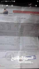  11 احمد محمد محمود