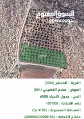  1 ارض المشقر 4100م2 اراضي عمان مزرعة زيتون