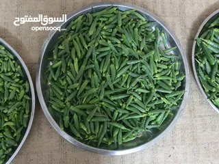  2 بامية خضراء اربد