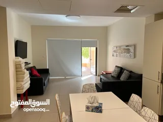  14 Beautiful 1 bedroom apartment with large terrace in Samarah resort in the Dead Sea