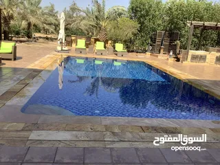  19 مزرعة في البحر الميت/ الشونه الجنوبية / السويمه / حوض جلد مميزة للبيع للجادين فقط