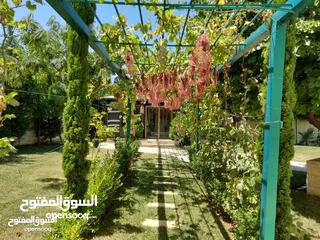  17 فيلا مفروشة سوبر ديلوكس اعلان رقم (V88)