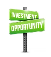  1 We are looking for a serious investor