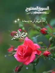  7 مرحاض عدد 2 ومغسلة  مستعملة