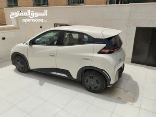  5 بي واي دي سيجال جمرك جديد انظف سياره استعمال الصين و تحدي  موديل 2023 شبة الزيرو