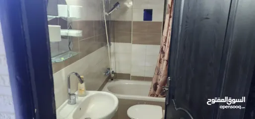  8 شقة مفروشة للايجار الشهري