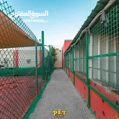  13 Train your dog