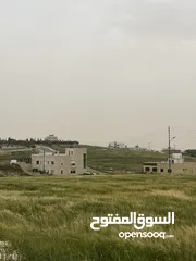  1 ارض مساحة 500 متر بالقرب من شارع المطار ومدارس الجاليات الدوليه حوض ابو العساكر بجانب حوض بلعاس