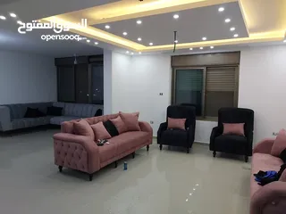  13 روف بسردا بسعر مرتب