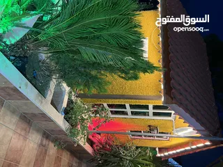  6 شاليه مع كوخ وجكوزي للعرسان او زوجين جين واطفالهم للايجار مع مبيت في نابلس 10 دقايق عن رفيديا