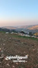  4 500 متر للبيع حلحول بالقرب من صالات الواوي