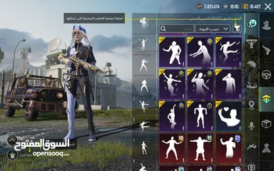  8 بيع حساب ببجي