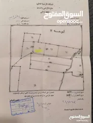  6 ارض زراعيه مشجره باشجأر الزيتون المثمره عمرها فوق الثلاثين سنه يوجد بها ابار ماء أرضية عدد اثنين