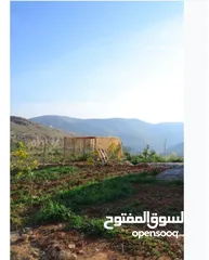  8 3،400دونم ماحص وادي شعيب الفحيص  استخدام سياحي سكني زراعي يكمن شقة قبول شقة  عمان الغربيه من ثمن