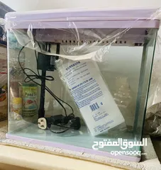  3 FISH AQUARIUM