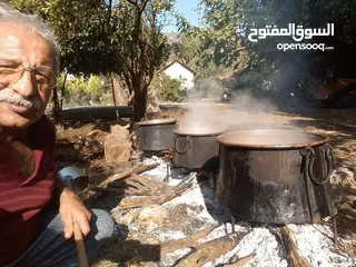  27 شروة دبس رمان بلدي للبيع
